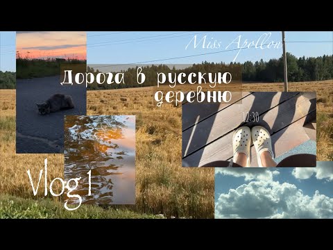 Видео: 1 day/ Vlog🦎🌸🫐Дорога в русскую деревню