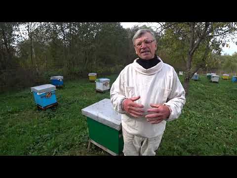 Видео: Где пчёлам зимовать -  в зимовнике или на воле. Пасека Лаврова.