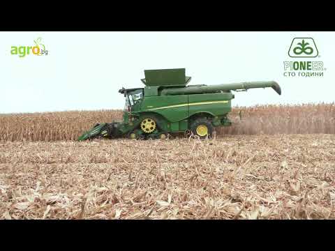 Видео: Царевицата е царица, а Пионер – нейният цар