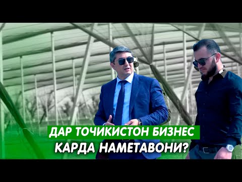 Видео: Баъди 5 сол дар Точикистон бизнес карда намешавад? Маслихатхои Саидмурод Давлатов 2025