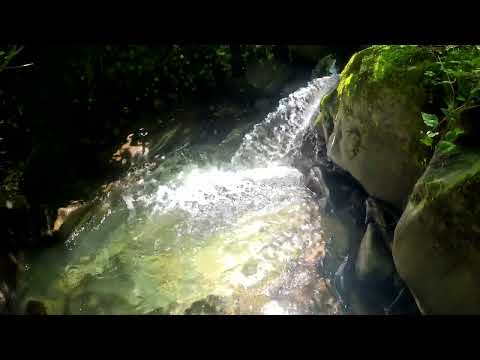 Видео: Лачепита. Секретное горное озеро. Грузия