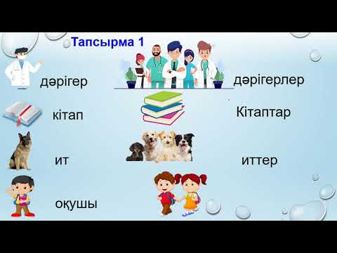 Видео: Кім? кімдер? не? нелер?