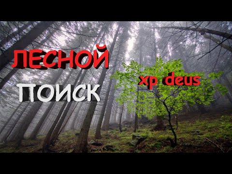 Видео: Поиск монет в лесу около дачных участков | Коп с 
xp deus
