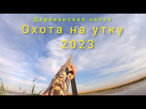 Видео: АТА АРМС НЕО 12 .ОХОТА на утку 2023.ВЕЧЕРКА.(hunting)