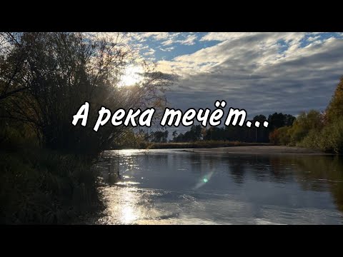 Видео: Поймали огромных щук. Встречи на реке...