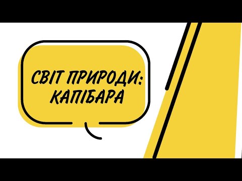 Видео: Світ природи: капібара