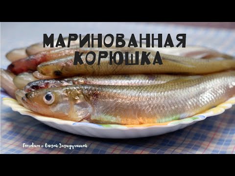 Видео: МАРИНОВАННАЯ КОРЮШКА . УЛЕТАЕТ СО СТОЛА ЗА МИНУТЫ !!!