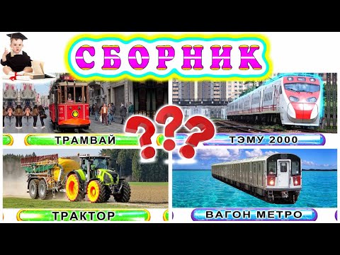 Видео: Викторины с различными видами транспорта | Угадай транспортное средство за 5 секунд | Академик Кроха