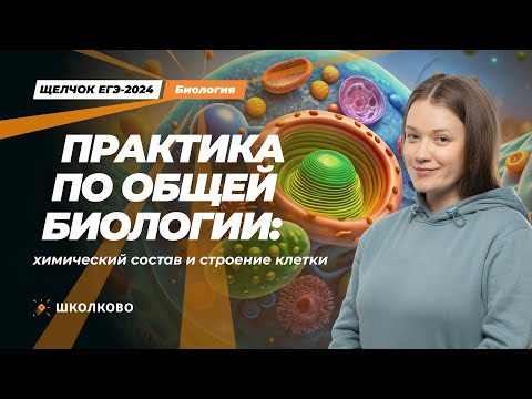 Видео: ЩЕЛЧОК к ЕГЭ 2024 по биологии | Практика по общей биологии: химический состав и строение клетки