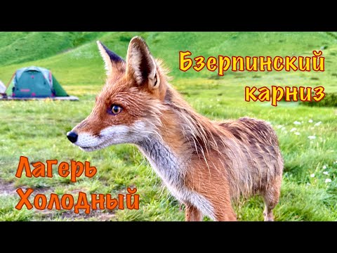 Видео: Бзерпинский карниз. День 3: Путь в Лагерь Холодный и утренние разборки с лисой.