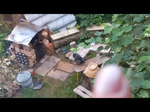 Видео: VLOG 23.09.25 Рутина как есть.  Пикник 