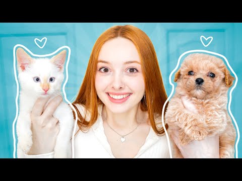 Видео: КОШКА или СОБАКА? (мы завели питомца)