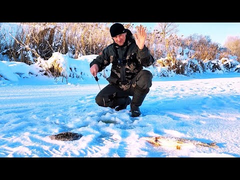 Видео: ЭТО НЕ ТЫЧКИ ОКУНЯ!!! Щука на раттлин!