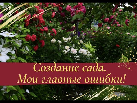 Видео: Создание сада.  Мои главные ошибки!