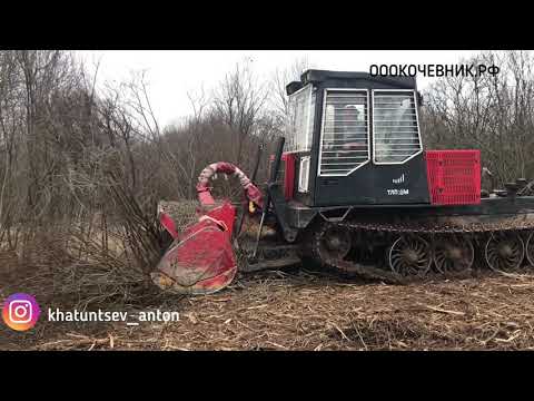 Видео: АРЕНДА МУЛЬЧЕРА,РАСЧИСТКА ПОЛЕЙ,РАСЧИСТКА САДОВ,МУЛЬЧИРОВАНИЕ,ГУСЕНИЧНЫЙ МУЛЬЧЕР,ТРАКТОР ПОЛЕ,ЗВОНИ.