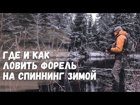 Видео: ЗИМНЯЯ РЫБАЛКА НА СПИННИНГ. Как и на что ловить форель на спиннинг зимой. Зимние приманки на форель