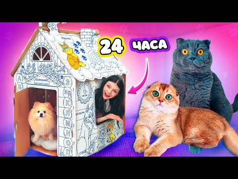 Видео: 24 ЧАСА в ДОМЕ из КАРТОНА с ПИТОМЦАМИ | Кот Баттерс