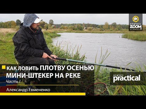 Видео: Как ловить ПЛОТВУ ОСЕНЬЮ. Мини-штекер и маховая на реке.  Часть 1. А. Евмененко. Anglers Practical