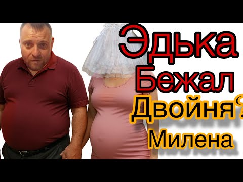 Видео: Saveliy Ad/Почему Эдька сбежал с YouTube? Милена снова с пузом вперёд, а Эдька — в кусты!