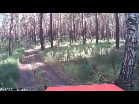 Видео: Два дня на Караканский бор