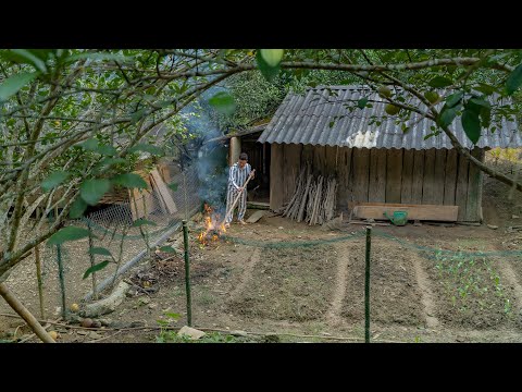 Видео: Жизнь после тюрьмы, огородничество, работа за деньги — копим на ферму