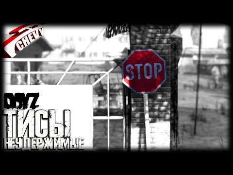Видео: DayZ - ТИСЫ (выживание 05) неудержимые