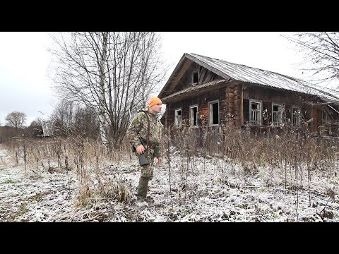 Видео: ЗА ТЕТЕРЕВАМИ ПО ЗАБРОШКАМ. ОХОТА НА ТЕТЕРЕВА С МЕЛКАШКОЙ. НЕ ФАРТАНУЛО....