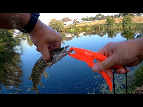 Видео: Кто сказал что попперы не ловят. Попперы YO-Zuri 3DS Popper 65F 65mm