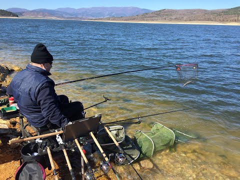 Видео: Feeder Fishing Seminar / Семинар по фидер риболов