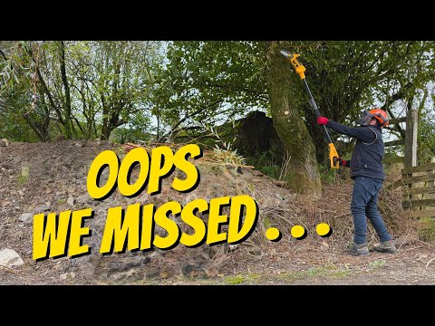 Видео: Мини-бензопила или электрический секатор? Нашли ли мы ЛУЧШИЙ вариант?