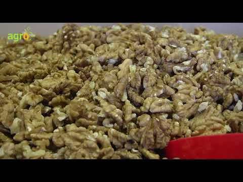 Видео: Само с био орехи не става, трябва и преработка!