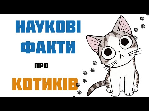 Видео: Наука про котів І Наукові факти про котиків