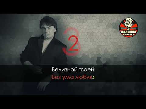 Видео: Александр Серов   Я люблю тебя до слёз Караоке