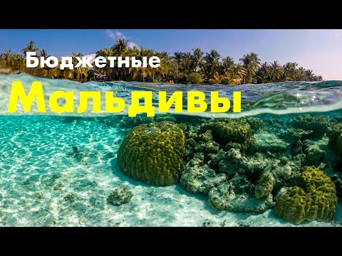 Видео: Лучшие бюджетные Мальдивы - 4* Vilamendhoo Island Resort
