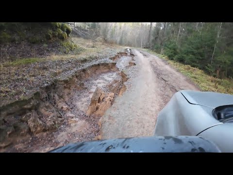 Видео: Поздняя осень, ручьевая форель и лисички в Тверской области. Дорогу вот вот размоет.
