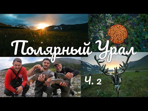 Видео: Полярный Урал озеро Большое Щучье