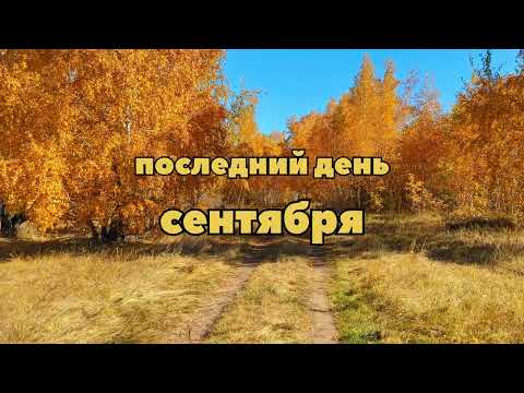 Видео: Костанай. За городом в лесочке. 30 сентября 2024 г.