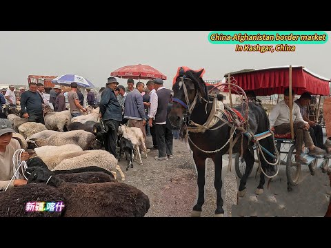Видео: Граница между Китаем и Афганистаном, редкий рынок торговли верблюдами и кухня Кашгара