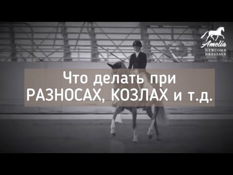 Видео: Что делать, если лошадь разносит, козлит и т.д.