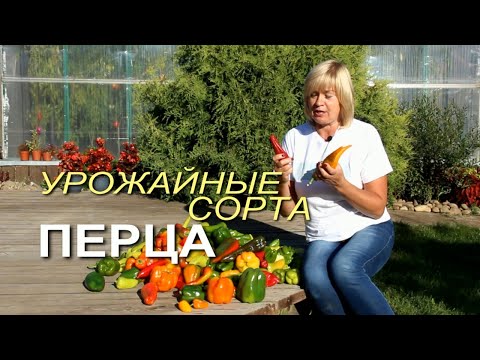 Видео: Обзор УРОЖАЙНЫХ сортов сладкого ПЕРЦА! Советы от ЗЕЛЕНОГО ОГОРОДА!