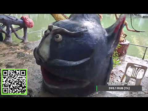 Видео: Черепашке не повезло. Фаранг наверное это сделал?