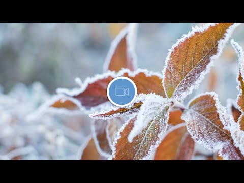 Видео: Начало 2023 года, редкости и популярности - новинки!