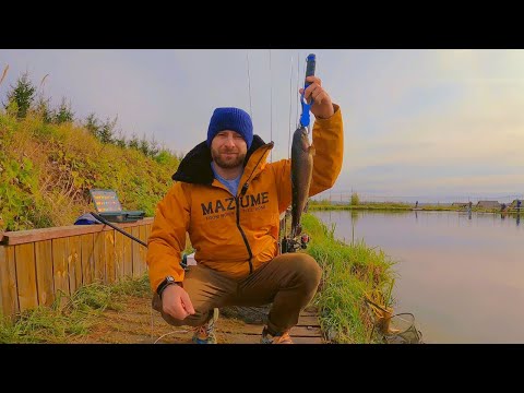 Видео: Форелевое Эльдорадо - Калужская форель