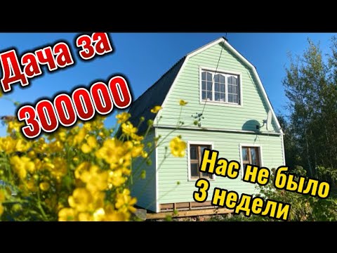 Видео: Наконец-то то мы на даче. Красим второй этаж