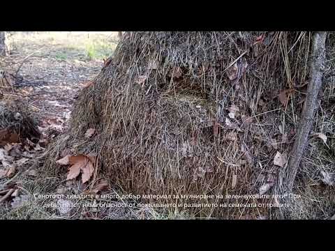 Видео: Зимно мулчиране🌨️ на зеленчуковите лехи със сено Mulching with hay #градина #двор #permaculture #hay