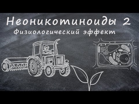 Видео: Неоникотиноиды 2 Физиологический эффект