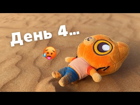 Видео: Симба потерялся в пустыне...