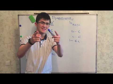 Видео: Пропропоциииииия