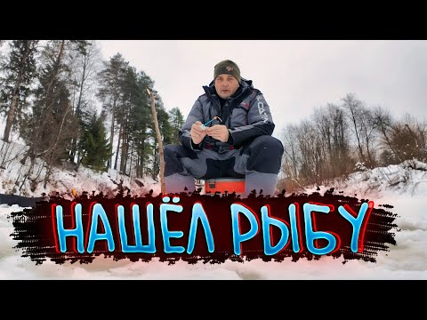 Видео: Уехал на реку, нашёл где рыба зимует 🐬