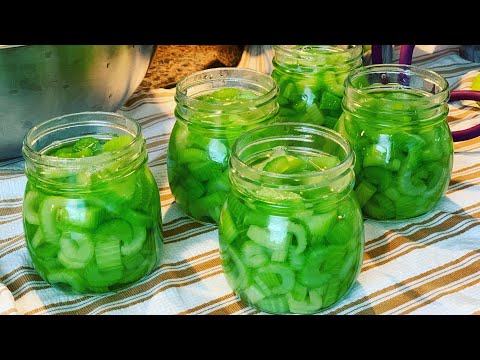 Видео: VR: Консервируем сельдерей! Потому что вы МОЖЕТЕ! Посвящается OurHalfAcreHomestead (с использован...